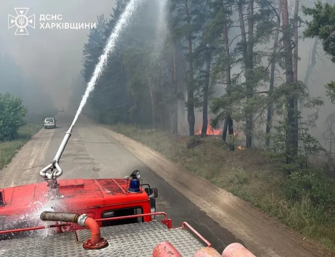На Харківщині горять майже 4 тисячі гектарів лісу (фото)