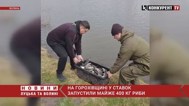 У ставок на Горохівщині вселили майже 400 кілограмів риби (фото, відео)