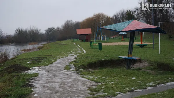 Тлін, безвихідь і бігуни: різдвяний ранок у луцькому парку (депресивні фото)