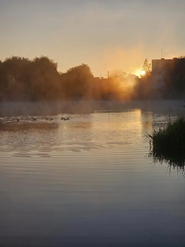 🍁 Осіння магія: у мережі показали ранкові краєвиди Теремнівських ставків (фото)