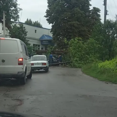 Зірвана покрівля та повалені дерева: у Володимирі бушує негода (фото, відео)
