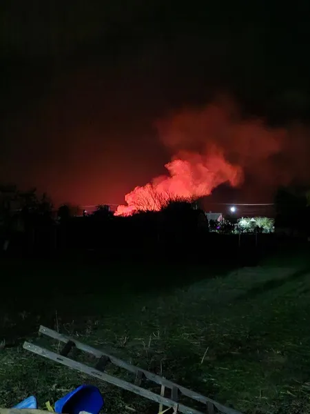 Масштабна пожежа: біля Жидичинського монастиря горів сухостій (фото)