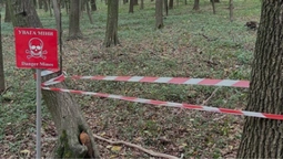 Замість грибів – снаряди: на Західній Україні у лісах виявляють небезпечні знахідки (фото)