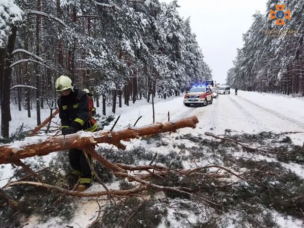 Негода на Волині: рятувальники звільняють дороги від повалених дерев (фото)