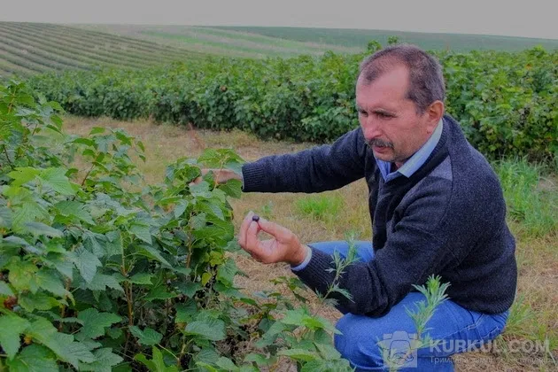 Віктор Гірич, директор приватного підприємства «ФруктЕксПол»