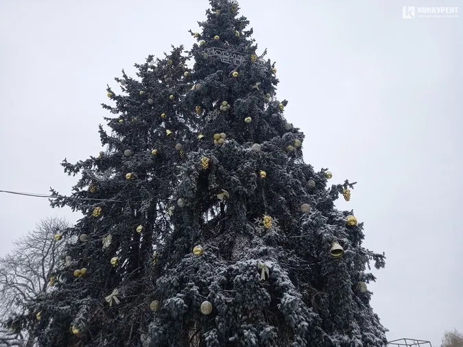 Під луцькими ялинками починають монтувати різдвяне містечко (фото)