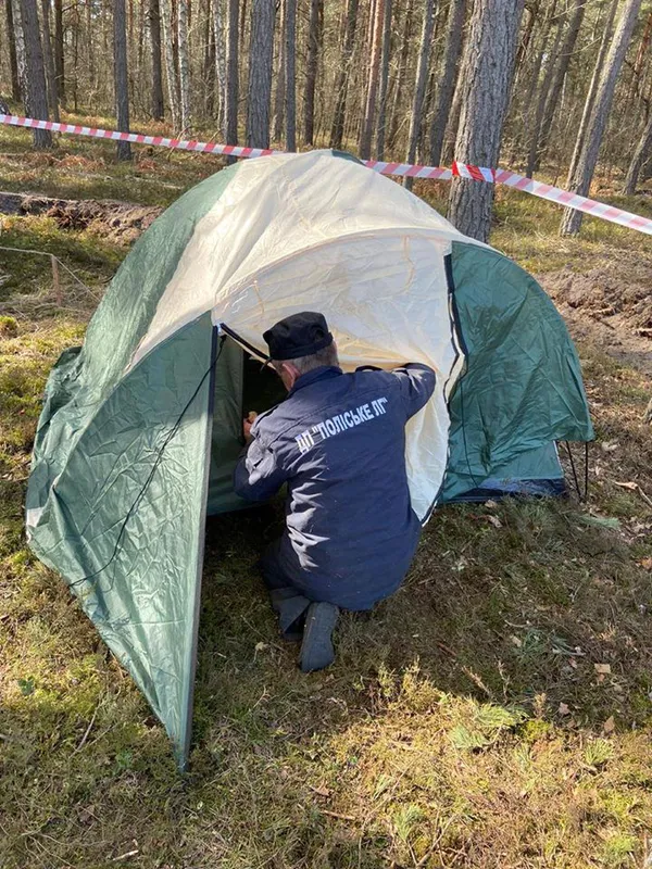 Шкода від лісових пожеж більша, ніж від незаконних рубок, – головний лісівник Волині (фото)