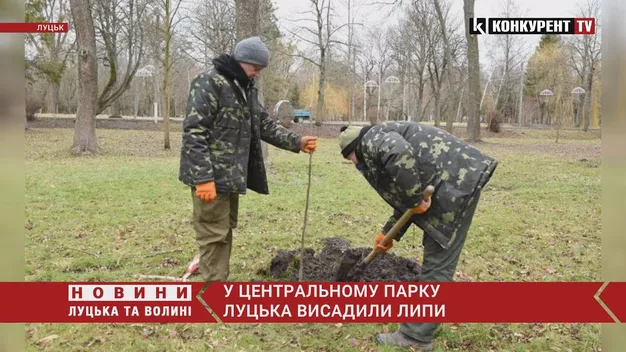 У центральному парку Луцька висадили 120 лип (фото, відео)