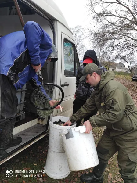 До Ковельського водосховища випустили понад пів тонни коропів, карасів та білих амурів (фото)