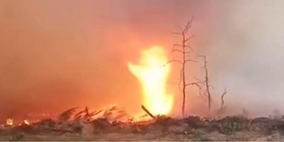 Полум'я, вітер і пил: у Чорнобильській зоні виник небезпечний вогняний смерч (відео)