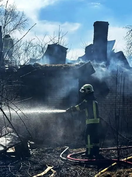 Біля Луцька через підпал сухої трави горіли будинок і сарай (фото)