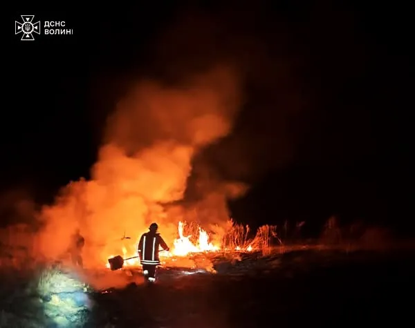 Суха трава, дровітня і будинок: на Волині боролися з пожежами (фото)