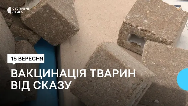 Половина з них – у Луцькому районі: на Волині виявили 31 випадок сказу (відео)