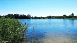 Чиста вода і багато риби: біля Луцька відкрили сезон на популярному озері (фото, відео)