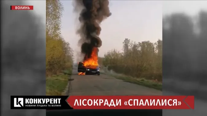 «Майстер лісу впізнав палія», – розповіли деталі підпалу в Цуманському лісгоспі (відео)