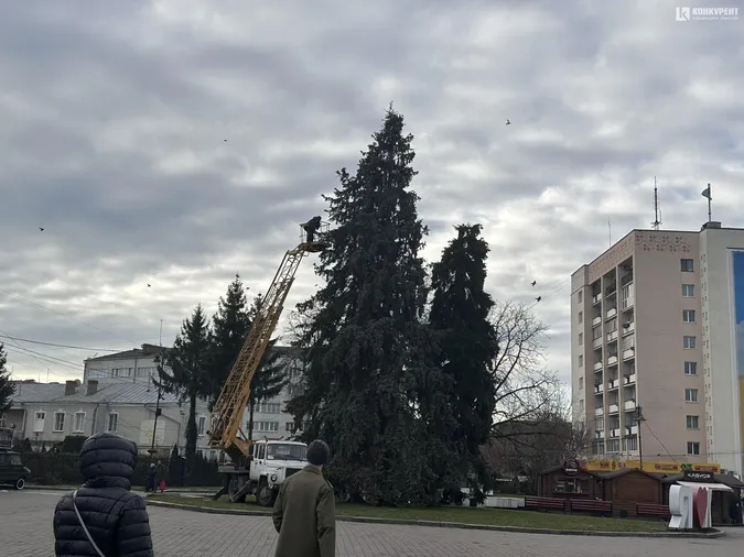 Головні ялинки Луцька вже почали прикрашати (фото)