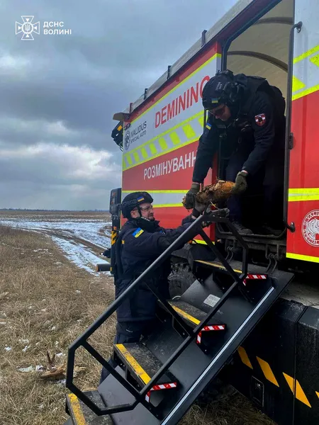 На Ковельщині у землі знайшли вісім мін (фото)
