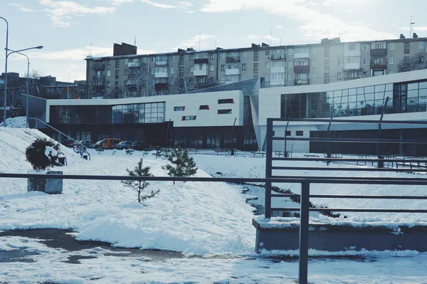 Зимовий «CityPark»: експозиція, місток та голуби (фото)