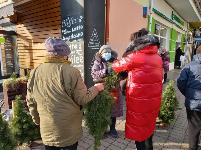Один день до свята: скільки коштують ялинки біля Старого ринку у Луцьку (фото)