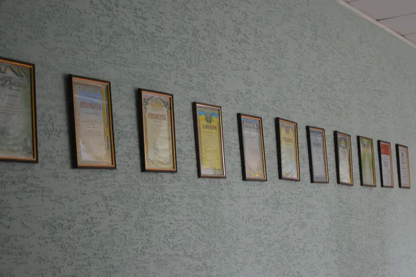 Невеличку частину нагород школи  розмістили на стіні коридору
