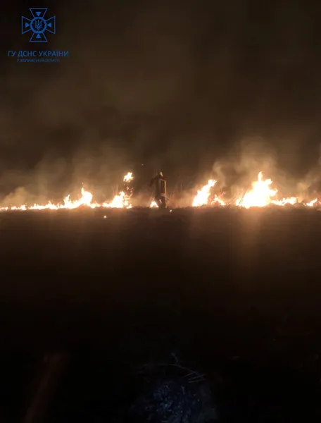 На Волині рятувальники боролися і з вогнем, і з водою (фото)