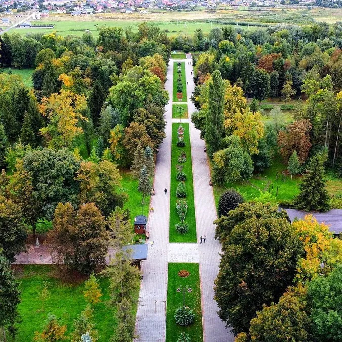 Луцький парк з висоти пташиного польоту (фото)