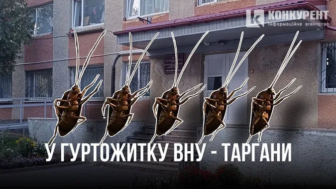 У гуртожитку волинського вишу – нашестя тарганів