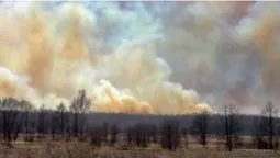 NASA показала фото масштабної пожежі під Чорнобилем з космосу (фото)