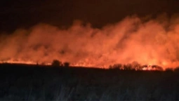 На Волині знову палала суха трава: вогонь охопив понад 3 гектари території (фото)