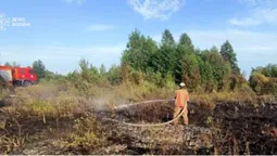 🔥 Випалили 3 гектари сухостою: на Волині гасили масштабні пожежі та спіймали палія (фото)