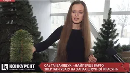 «Штучні ялинки бувають за ціною холодильника», – власниця ялинкового бізнесу з Луцька (відео)