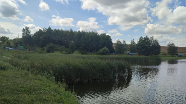 На Волині виставили на аукціон два ставки для оренди: можна займатися рибництвом