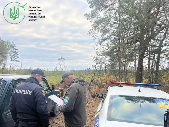 На Волині незаконно зрубали дерев на понад 5 мільйонів гривень (фото)