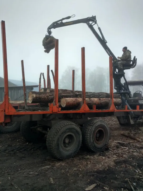 На Волині на пилорамі знайшли незаконну деревину (фото)