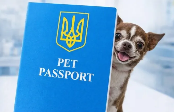 В Україні почали видавати нові ветеринарні паспорти для домашніх тварин