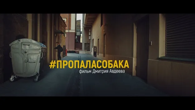 Телеведучий з Луцька знявся у короткометражці «Пропала собака» (відео)