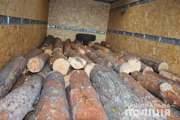 144 колоди: в Ківерцівському районі зупинили вантажівку з деревиною (фото)