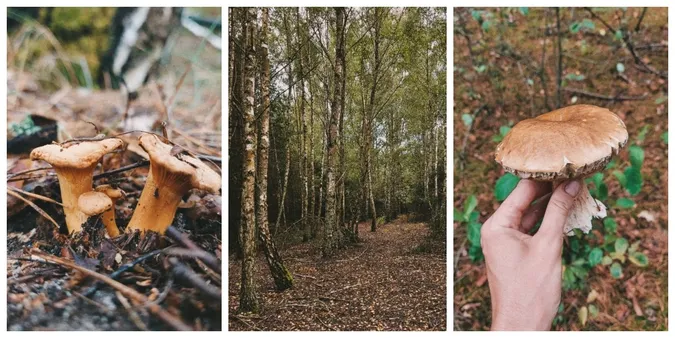 Фото: Юлія Іванчук