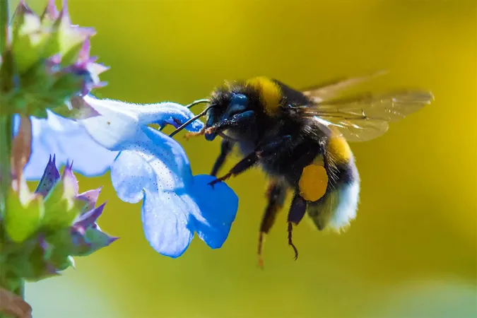 Головне у Луцьку: ТОП новин за понеділок, 30 жовтня