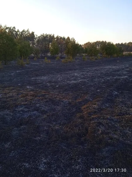 На Волині за кілька днів вигоріло понад 1200 гектарів землі (фото, відео)