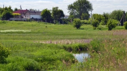 Утоплені дівчата, курган і річка, що шепоче: що ховає у собі село під Луцьком