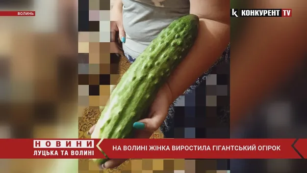 Волинянка виростила на городі гігантський огірок (фото, відео)