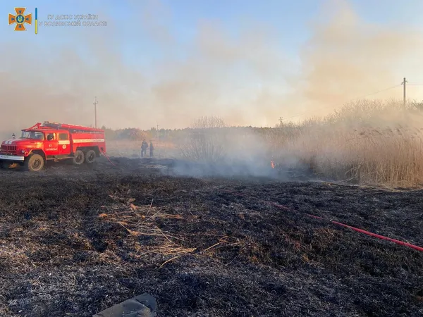 У Турійську виникла пожежа на площі три гектари (фото)