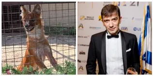 «Усиновив» вовка: відомий у 2000-х ексдіджей підтримав Луцький зоопарк