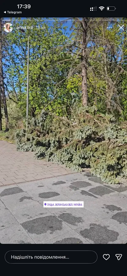 Летіло скло, валило дерева: негода наробила лиха у Луцьку (фото)