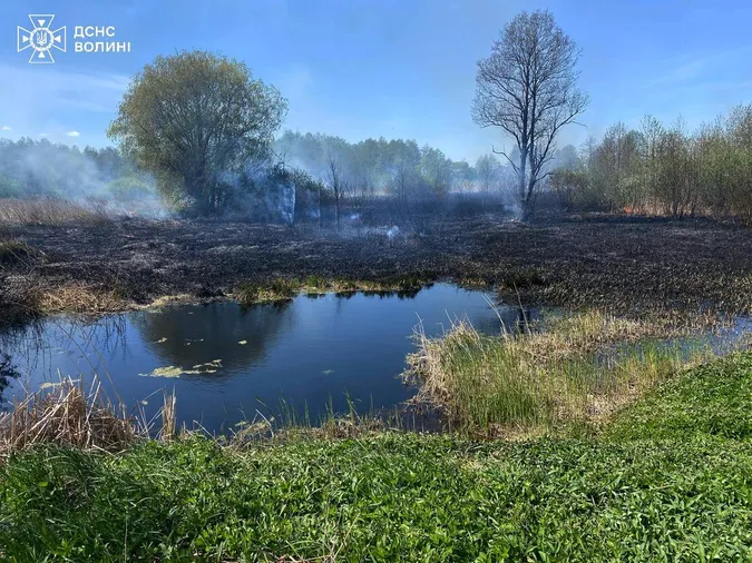 У Ковелі вогонь із сухостою перекинувся на деревʼяний будиночок (фото)