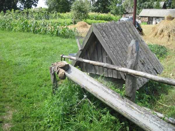 Село на краю світу: де на Поліссі ще можна побачити життя, як 200 років тому (фото)