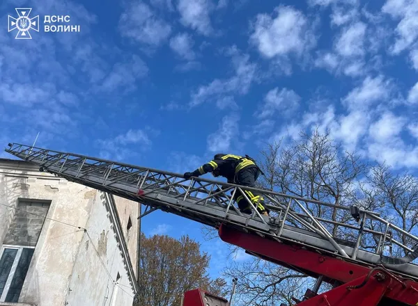Пожежа за сценарієм: на Волині рятувальники шукали «потерпілу» в задимленій будівлі (фото, відео)