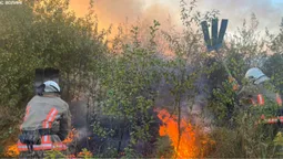 Волинь охопила хвиля пожеж: за добу рятувальники виїжджали пʼять разів (фото)
