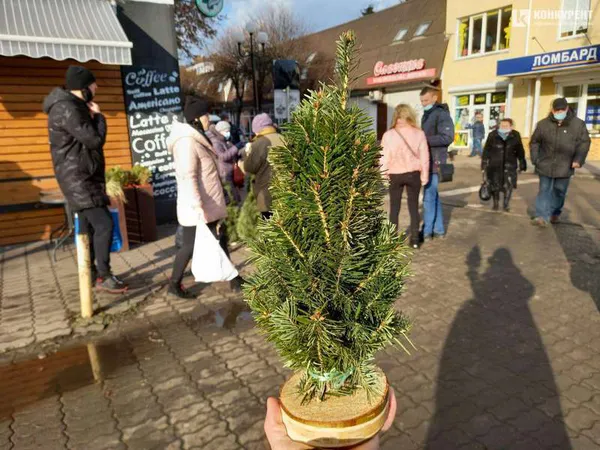 Головне у Луцьку за середу, 30 грудня